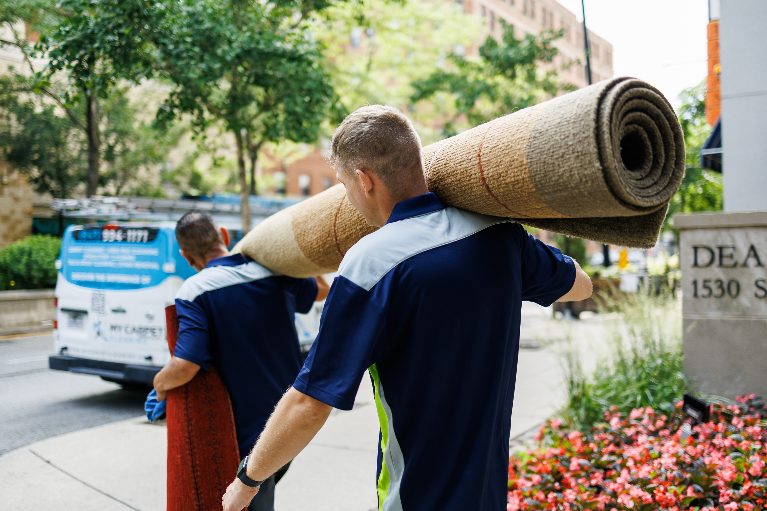 Professional carpet care