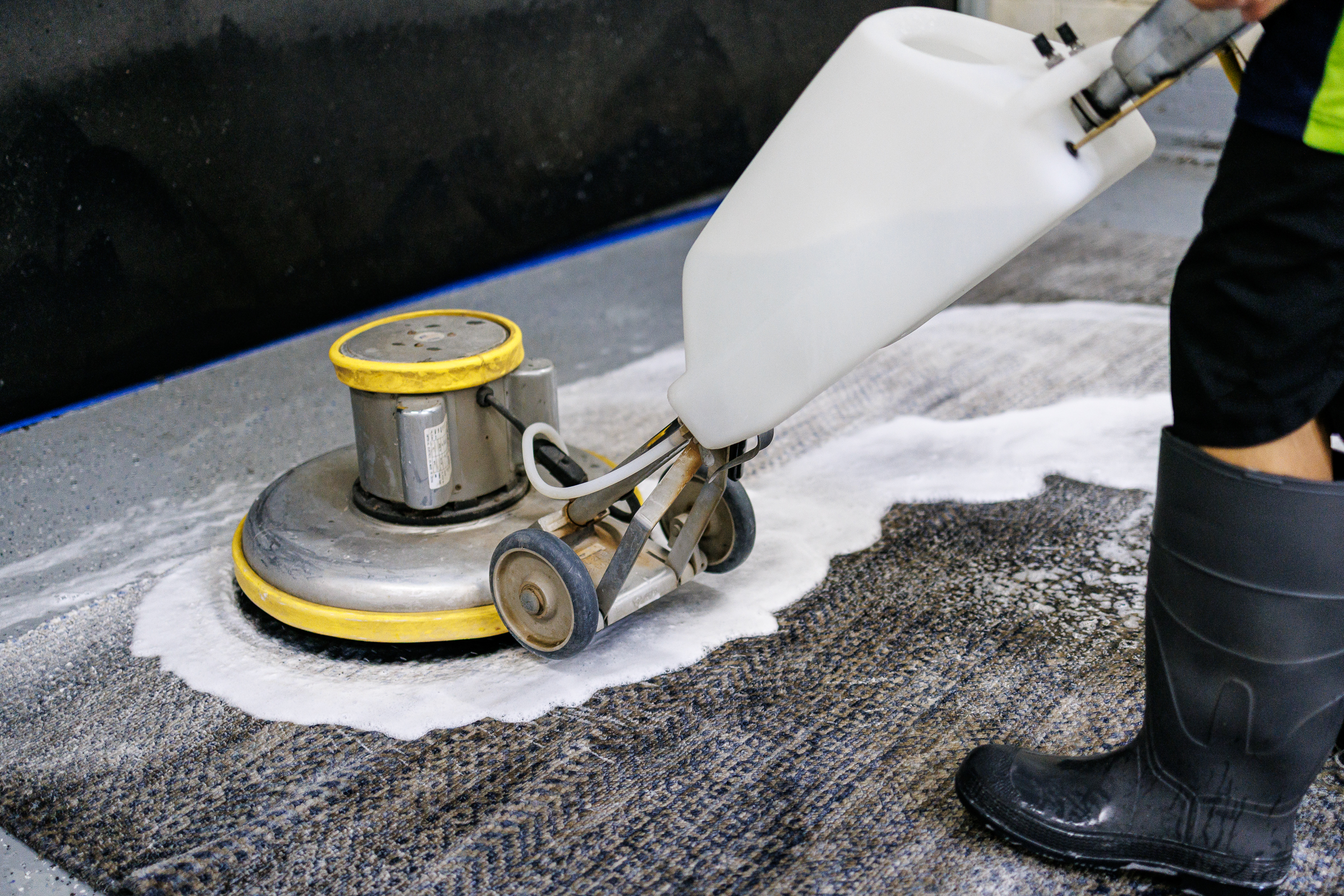 Freshly cleaned carpet fibers