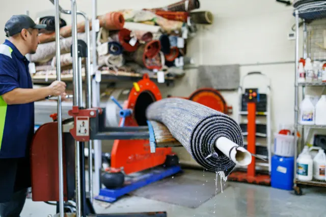 Rolled rug on the centrifuge loader dripping rinse water