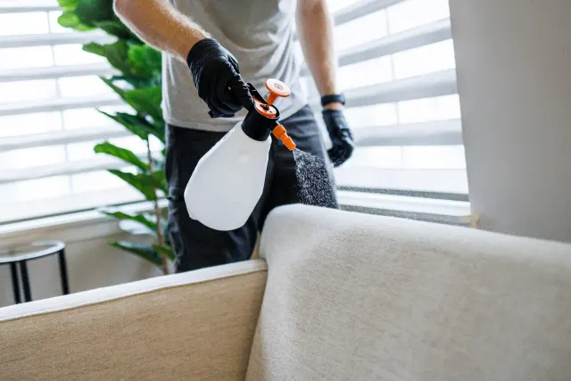Technician pre-spraying the arm of a light sofa