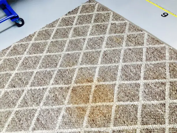 Rug with coffee stain before treatment